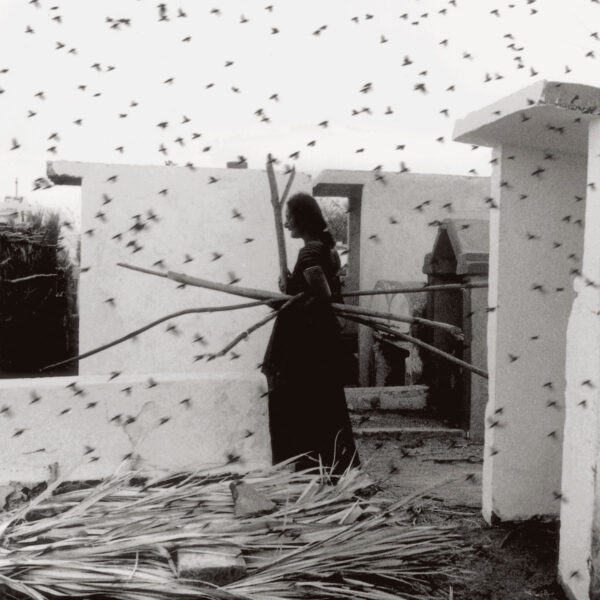 graciela-iturbide-Matador-iñarritu