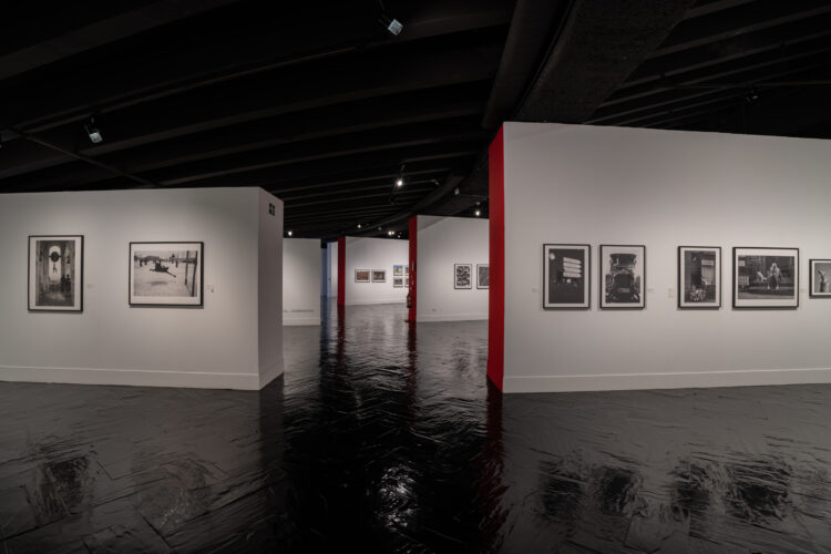 Fotógrafo Brian Hallett 13